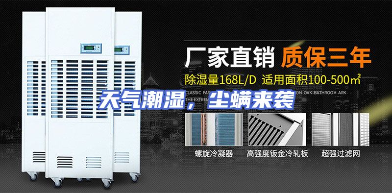 天气潮湿,尘螨来袭