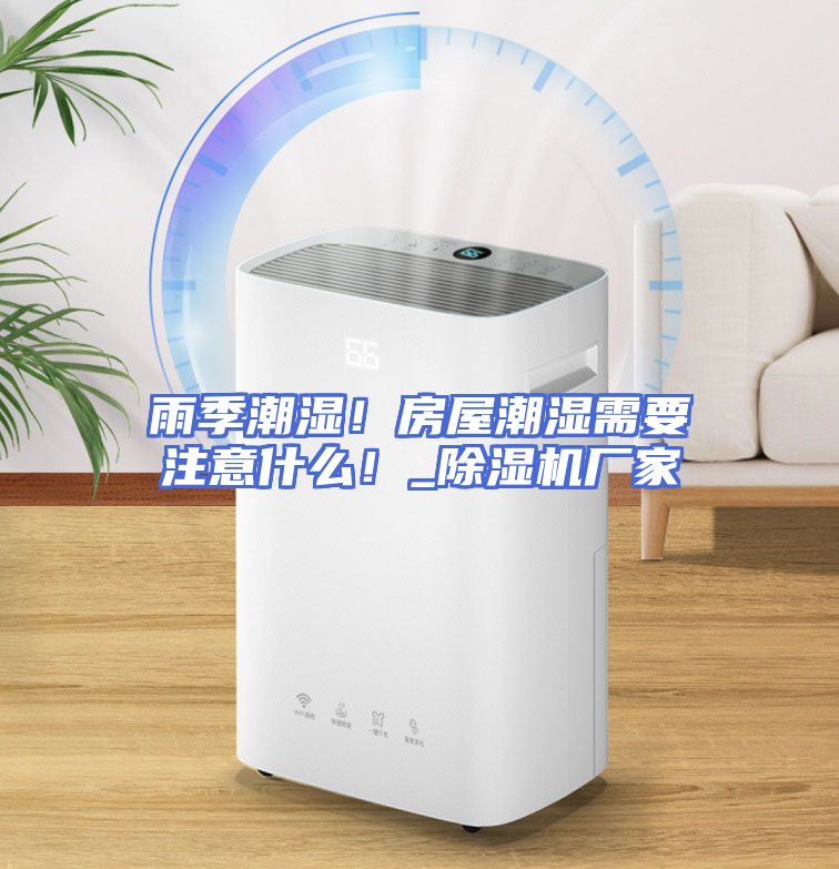 雨季潮湿！房屋潮湿需要注意什么！_除湿机厂家