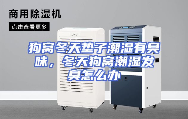 狗窝冬天垫子潮湿有臭味，冬天狗窝潮湿发臭怎么办