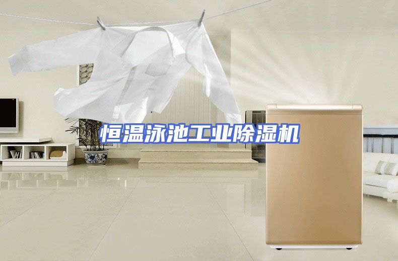恒温泳池工业除湿机