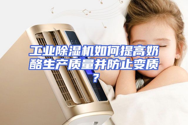 工业除湿机如何提高奶酪生产质量并防止变质？
