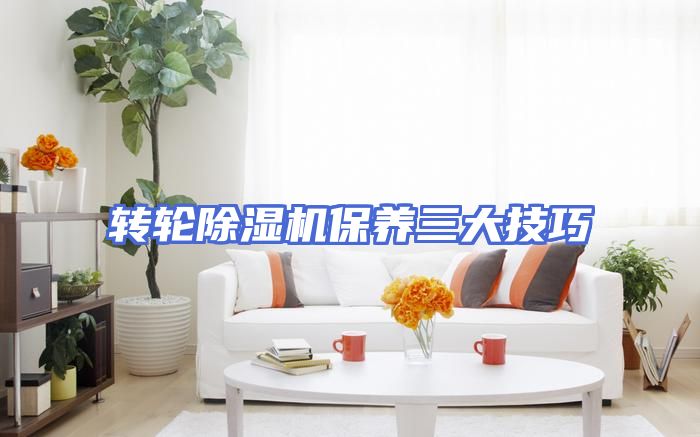 转轮除湿机保养三大技巧