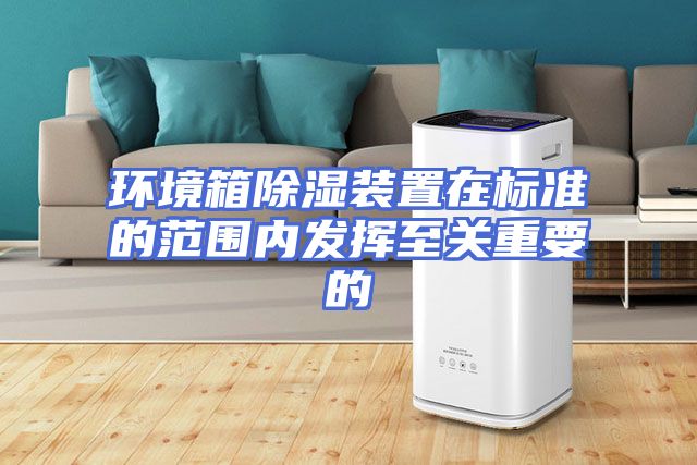 环境箱除湿装置在标准的范围内发挥至关重要的