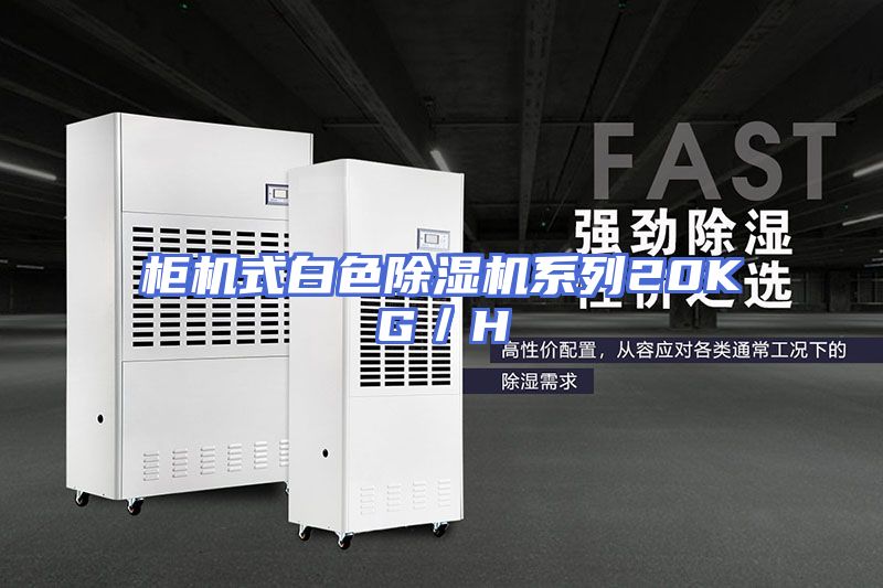 柜机式白色除湿机系列20KG／H