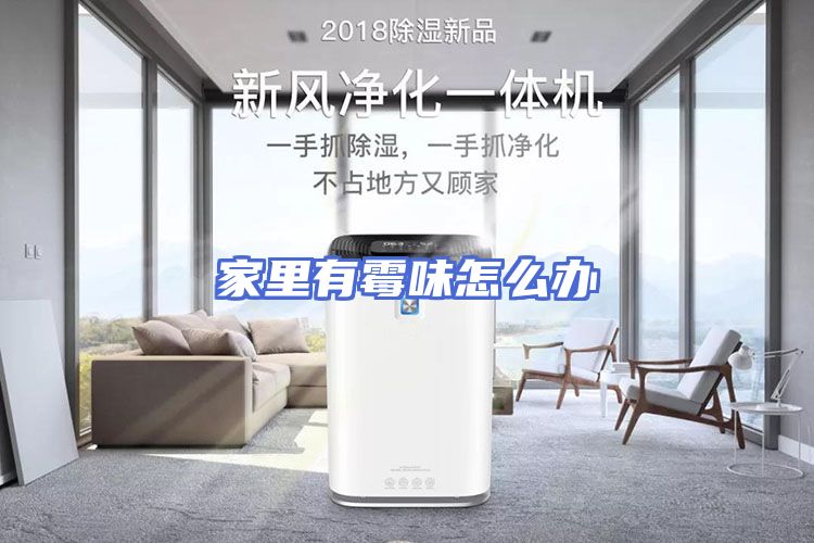 家里有霉味怎么办