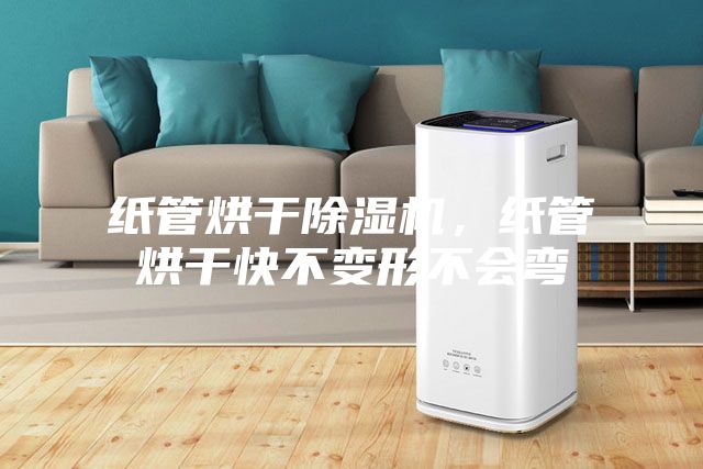 纸管烘干除湿机，纸管烘干快不变形不会弯