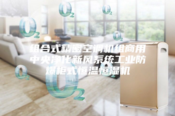 组合式精密空调机组商用中央净化新风系统工业防爆柜式恒温恒湿机
