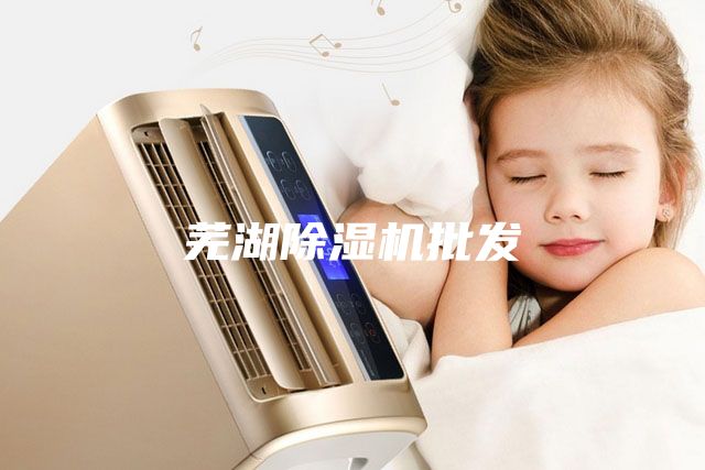 芜湖除湿机批发
