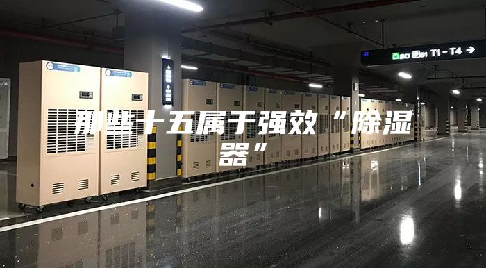 那些十五属于强效“除湿器”