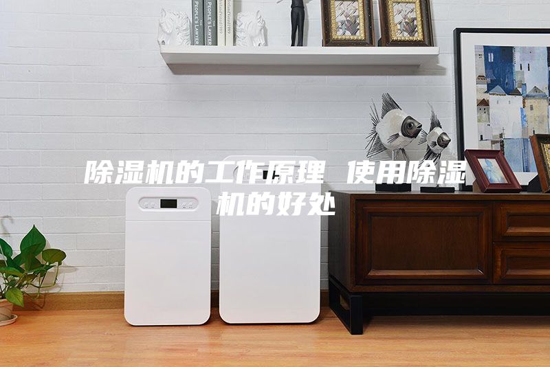 除湿机的工作原理 使用除湿机的好处