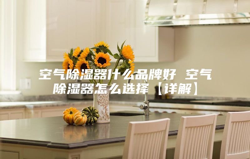 空气除湿器什么品牌好 空气除湿器怎么选择【详解】
