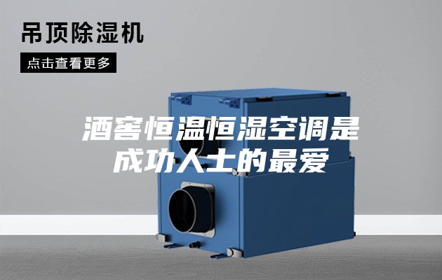 酒窖恒温恒湿空调是成功人士的最爱