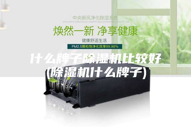 什么牌子除湿机比较好(除湿机什么牌子)
