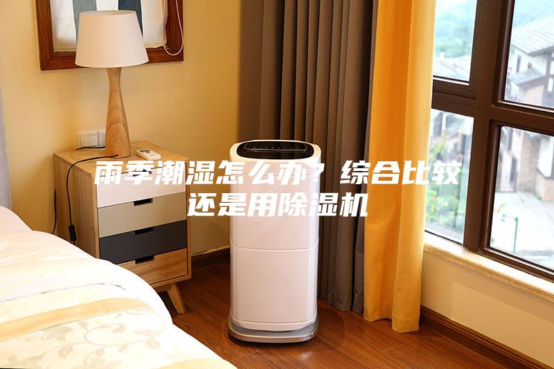 雨季潮湿怎么办？综合比较还是用除湿机