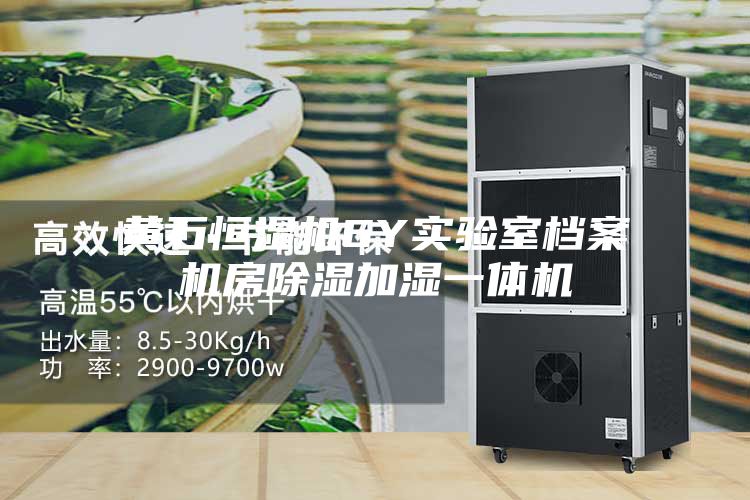 黄石恒湿机6Y实验室档案机房除湿加湿一体机