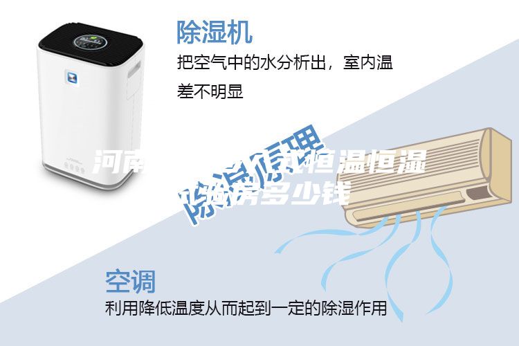 河南节能步入式恒温恒湿试验房多少钱