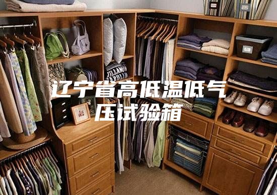 辽宁省高低温低气压试验箱