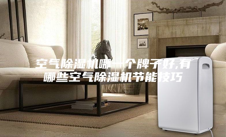 空气除湿机哪一个牌子好,有哪些空气除湿机节能技巧