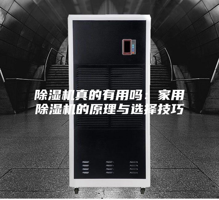 除湿机真的有用吗：家用除湿机的原理与选择技巧