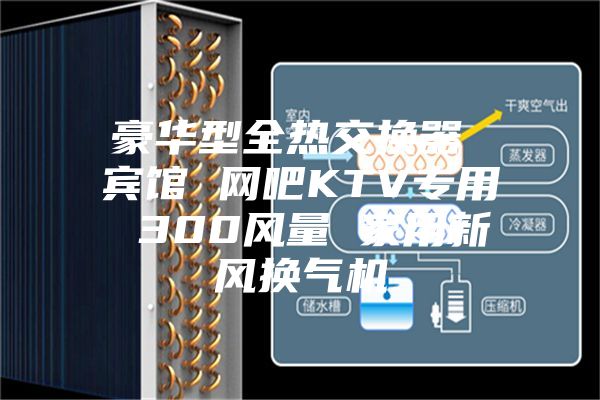 豪华型全热交换器 宾馆 网吧KTV专用 300风量 家用新风换气机
