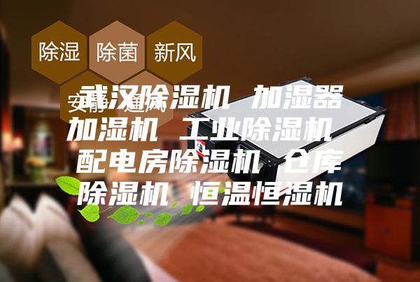 武汉除湿机 加湿器加湿机 工业除湿机 配电房除湿机 仓库除湿机 恒温恒湿机