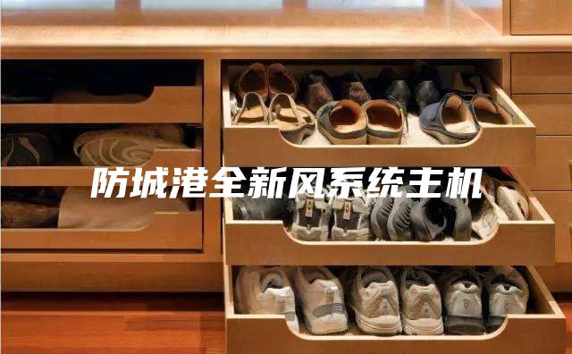 防城港全新风系统主机