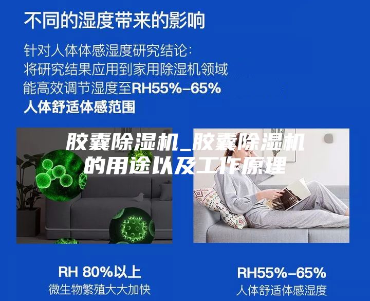胶囊除湿机_胶囊除湿机的用途以及工作原理