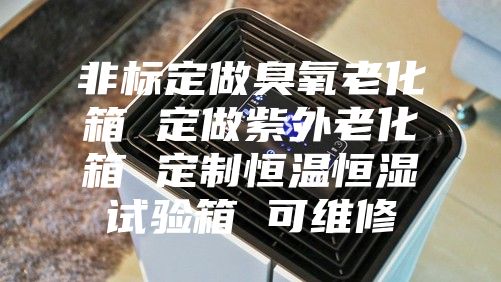 非标定做臭氧老化箱 定做紫外老化箱 定制恒温恒湿试验箱 可维修