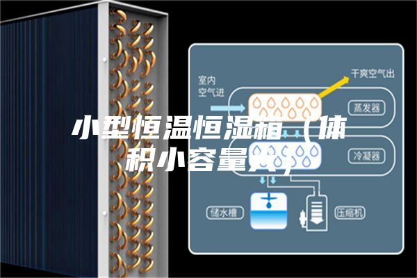 小型恒温恒湿箱（体积小容量大）