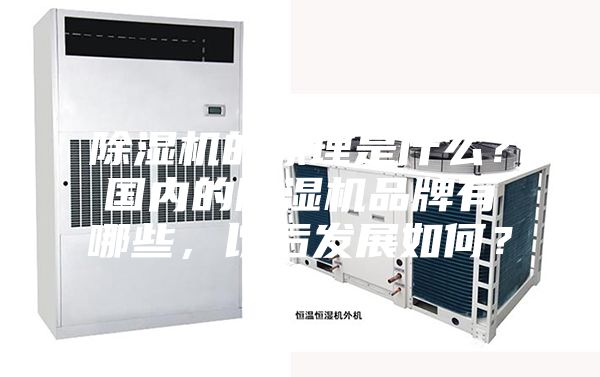 除湿机的原理是什么？国内的除湿机品牌有哪些，以后发展如何？