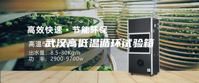 武汉高低温循环试验箱