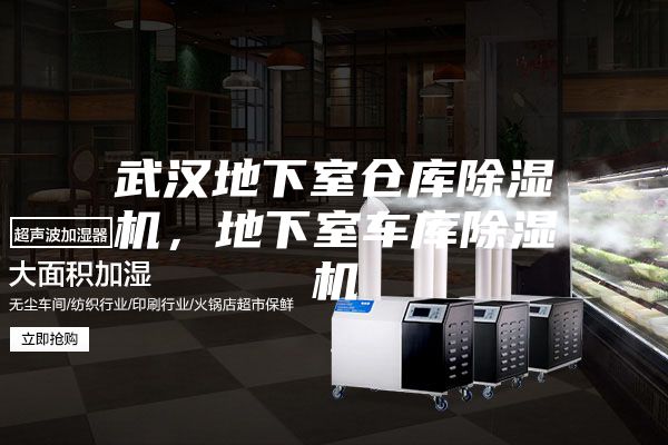 武汉地下室仓库除湿机，地下室车库除湿机