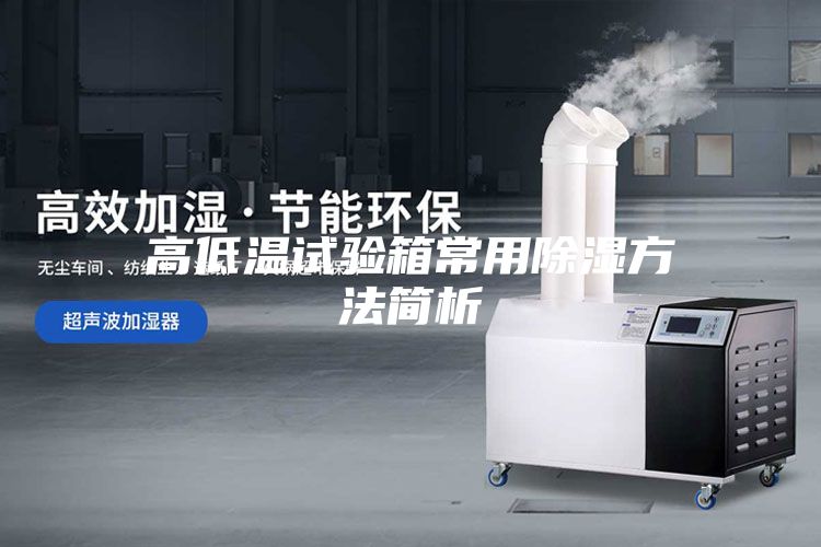 高低温试验箱常用除湿方法简析