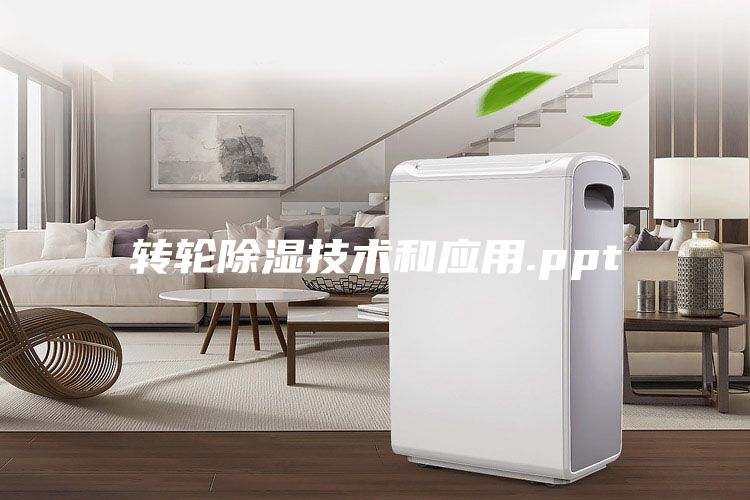 转轮除湿技术和应用.ppt