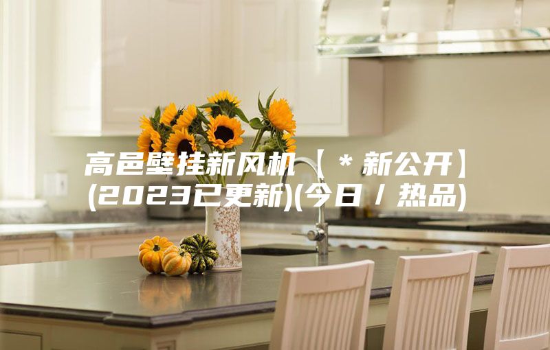 高邑壁挂新风机【＊新公开】(2023已更新)(今日／热品)
