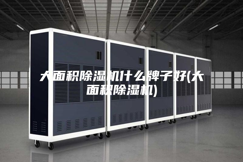 大面积除湿机什么牌子好(大面积除湿机)