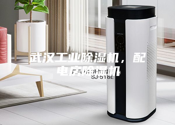 武汉工业除湿机，配电房除湿机