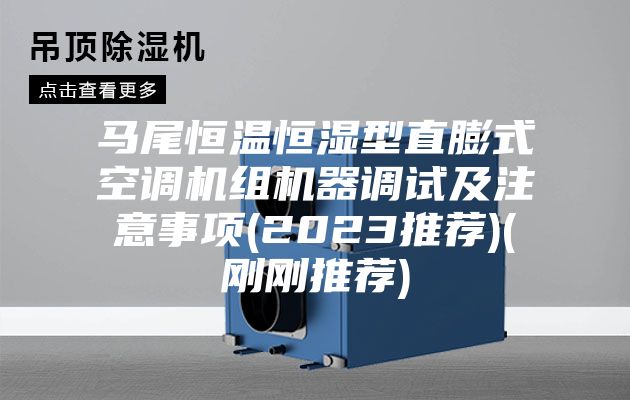 马尾恒温恒湿型直膨式空调机组机器调试及注意事项(2023推荐)(刚刚推荐)