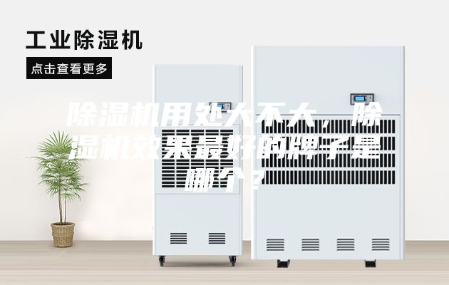 除湿机用处大不大，除湿机效果最好的牌子是哪个？