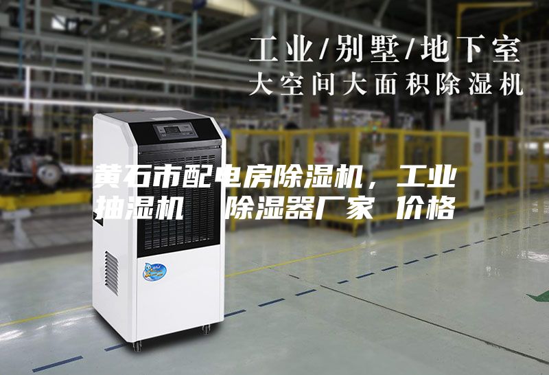 黄石市配电房除湿机，工业抽湿机  除湿器厂家 价格