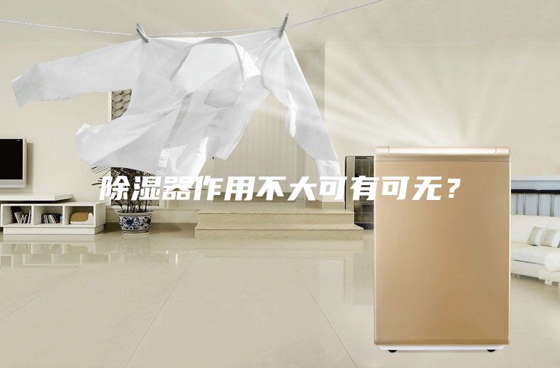 除湿器作用不大可有可无？