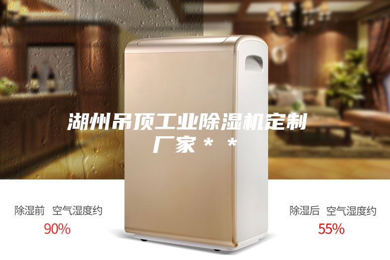 湖州吊顶工业除湿机定制 厂家＊＊