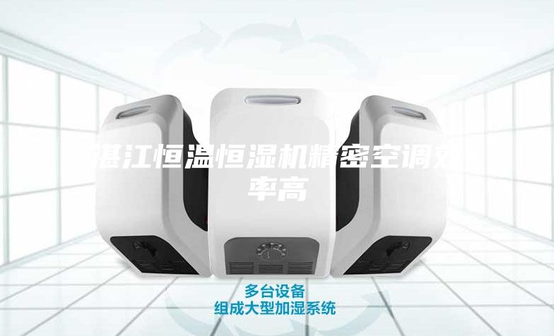 湛江恒温恒湿机精密空调效率高