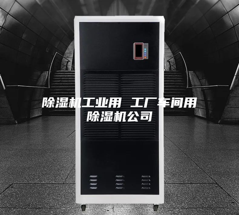 除湿机工业用 工厂车间用除湿机公司