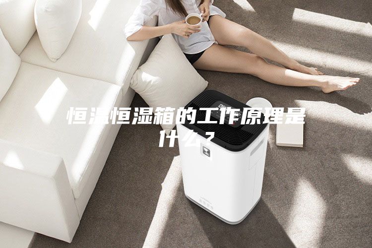 恒温恒湿箱的工作原理是什么？