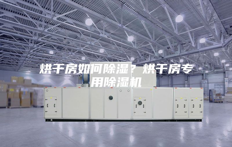 烘干房如何除湿？烘干房专用除湿机