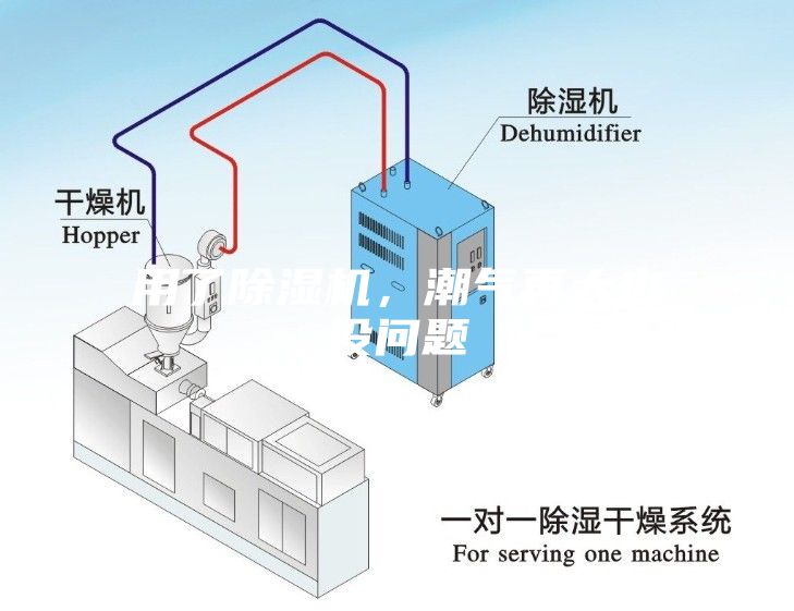 用了除湿机，潮气再大也没问题
