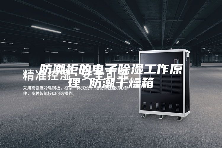 防潮柜的电子除湿工作原理 防潮干燥箱