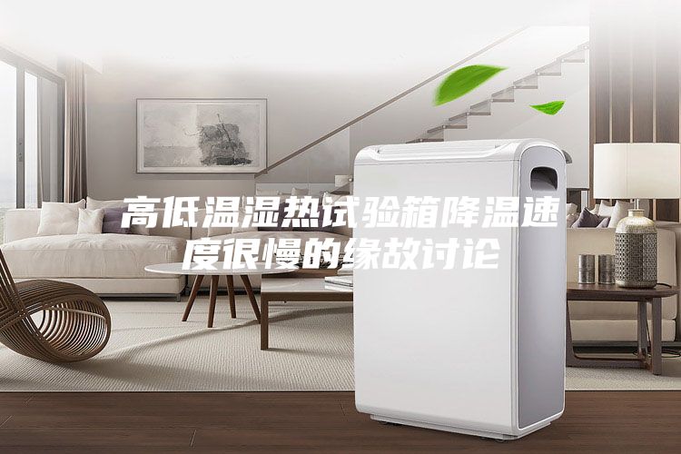 高低温湿热试验箱降温速度很慢的缘故讨论