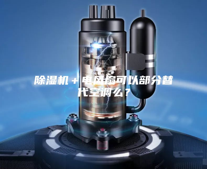 除湿机＋电风扇可以部分替代空调么？